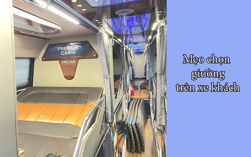 meo-chon-giuong-tren-xe-khach.jpg